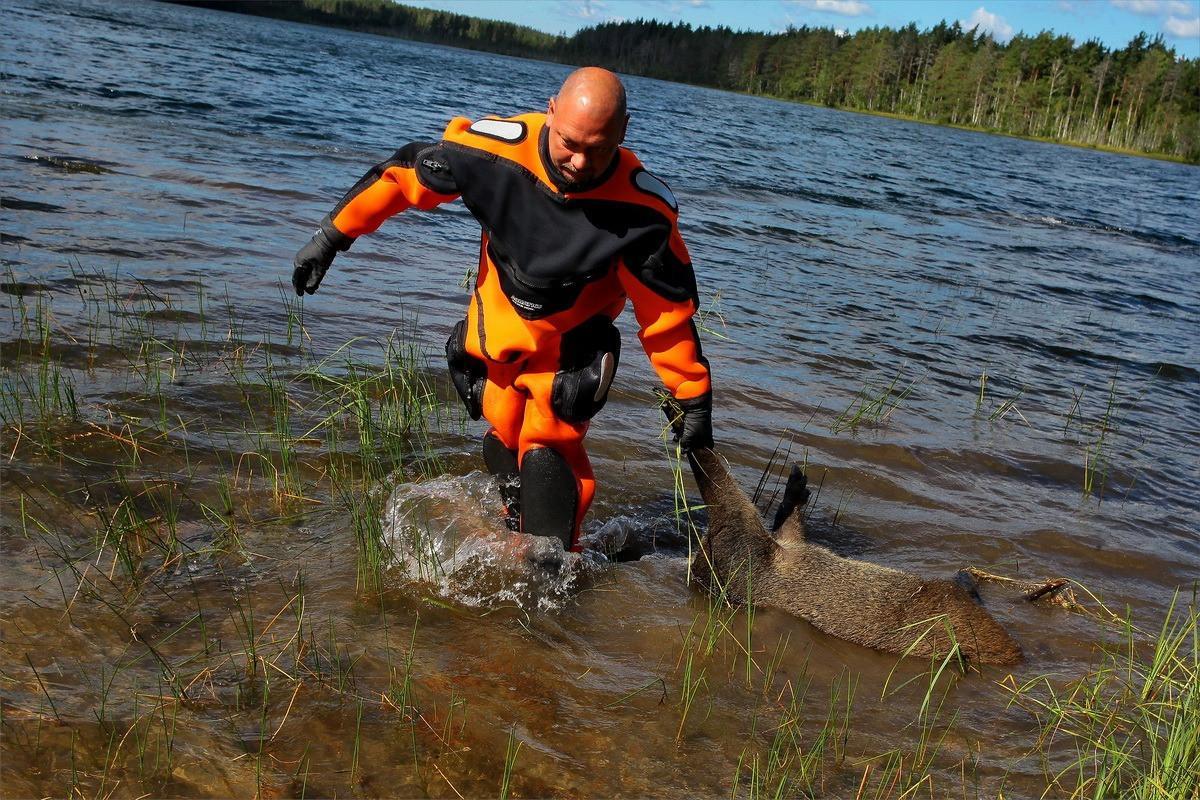 Щучье озеро в Рязанской области - информация о лучшем месте для рыбной ловли