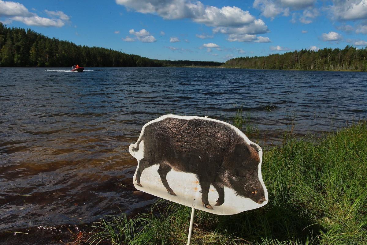 Щучье озеро в Рязанской области - информация о лучшем месте для рыбной ловли