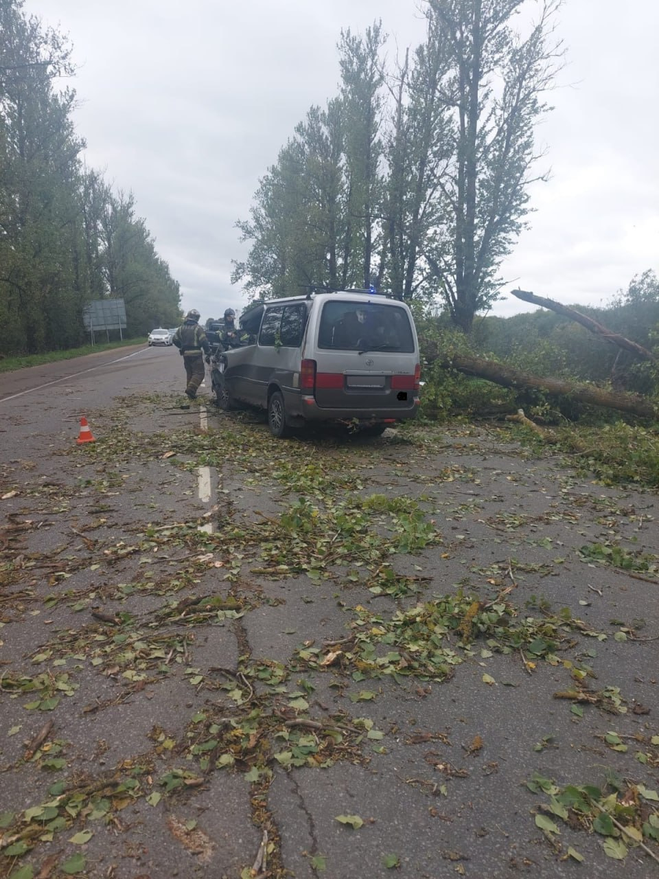 Водитель погиб после столкновения с деревом на подъезде к Гатчине |  20.09.2023 | ЛенОбласть - БезФормата