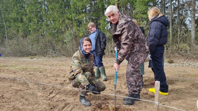 В Лодейном Поле высадили 300 сеянцев дуба в рамках акции 