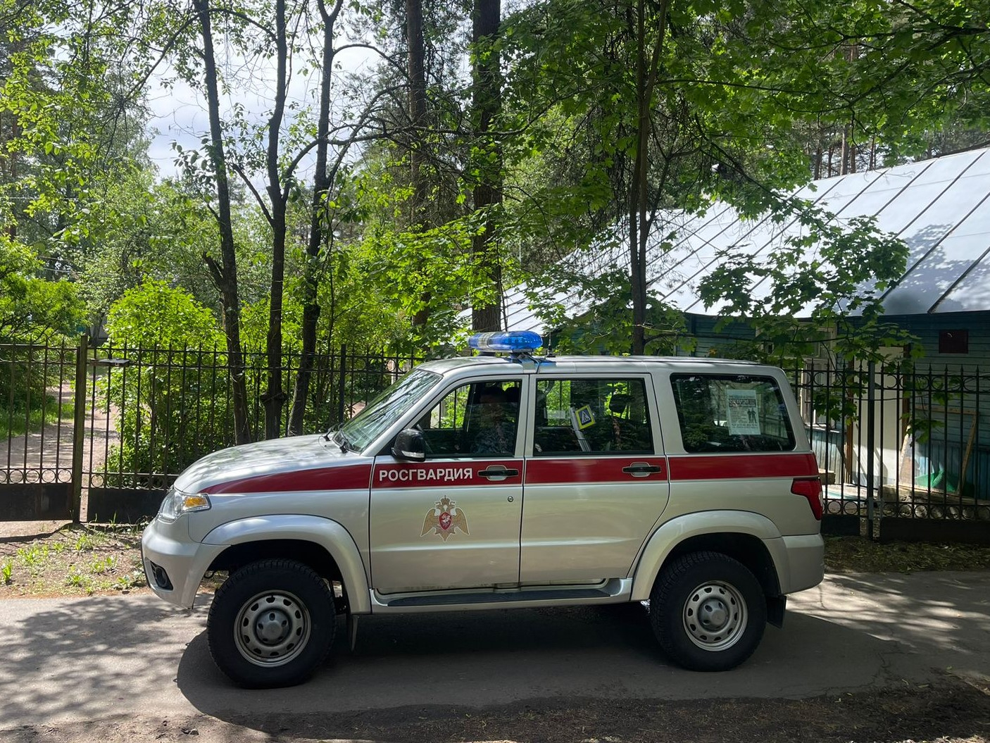 В Петербурге с игровой площадки эвакуировали детей из-за залетного лося |  14.06.2024 | ЛенОбласть - БезФормата