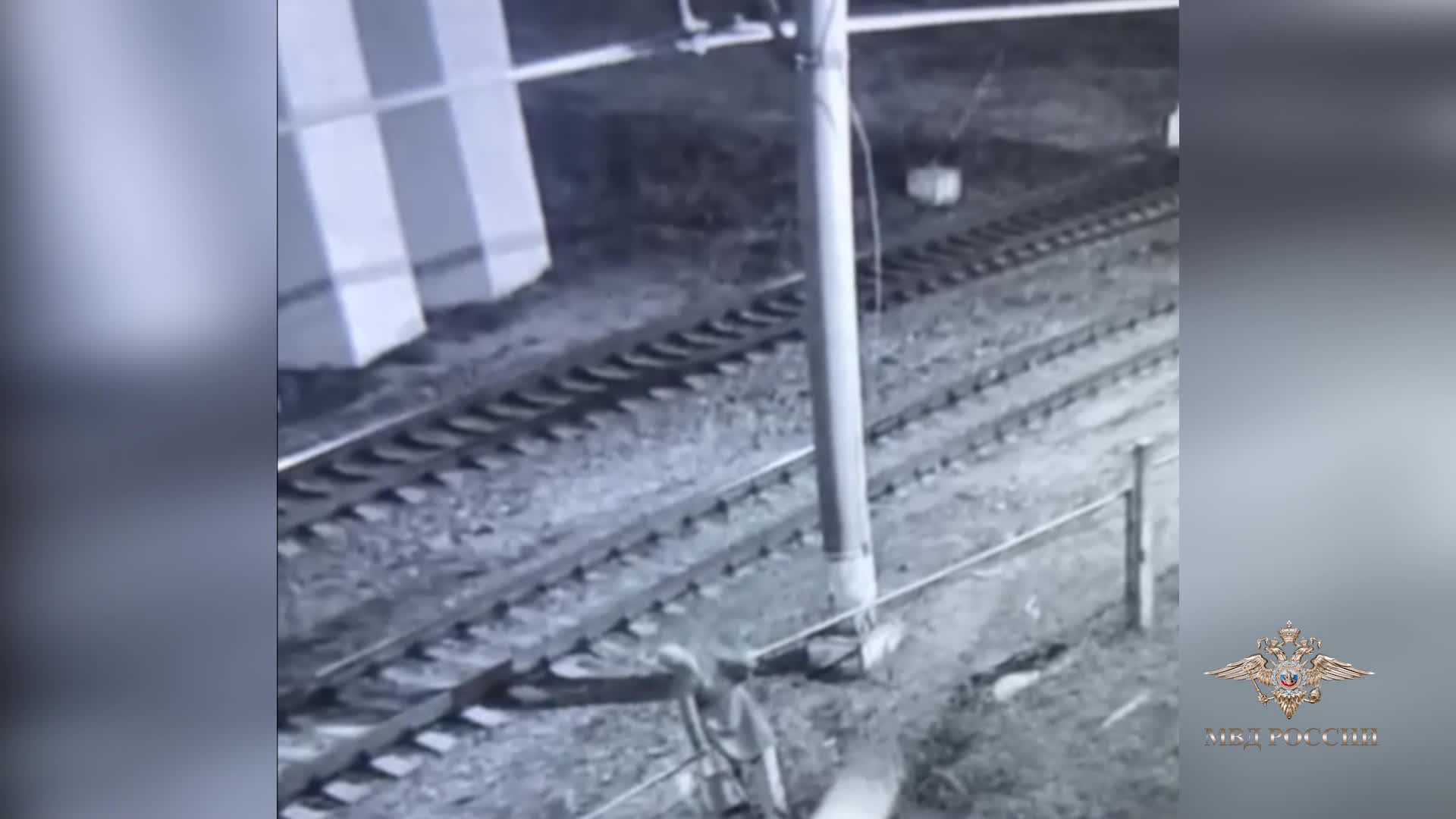 На станции Саблино женщина совершила поджог о указке телефонных мошенников