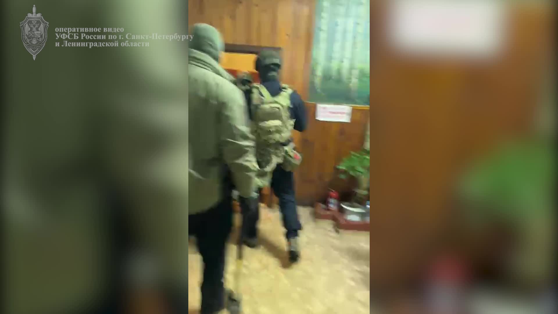 В Ленобласти раскрыли хищение десятков миллионов рублей, выделенных на восстановление лесов