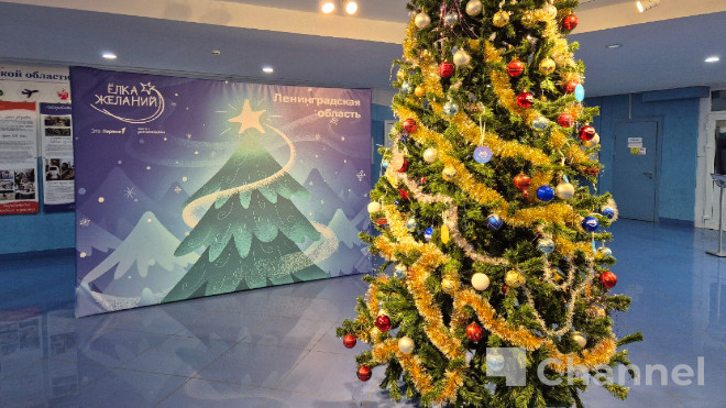 Акция "Елка желаний" пришла и в Разметелево. Дети просят велосипеды и смартфоны